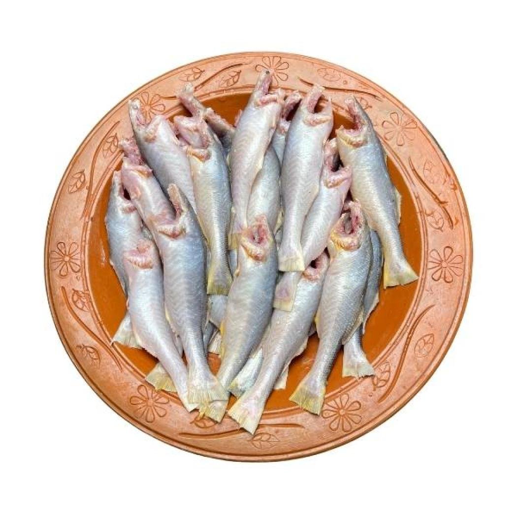 তোপসে মাছ